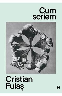 Cum scriem Ed.2 - Cristian Fulas