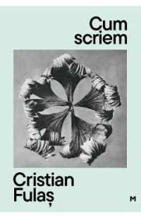 Cum scriem Ed.2 - Cristian Fulas