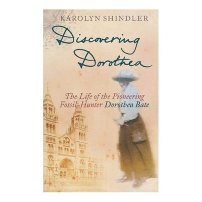 Discovering Dorothea