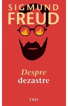 eBook Despre dezastre - Sigmund Freud