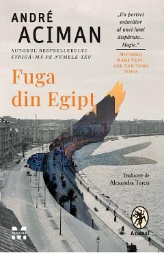 eBook Fuga din Egipt - Andre Aciman