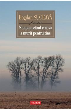 eBook Noaptea cind cineva a murit - Bogdan Suceava