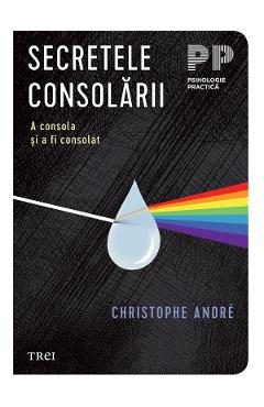 eBook Secretele consolarii. A consola si a fi consolat - Christophe Andre