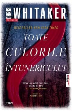 eBook Toate culorile intunericului - Chris Whitaker