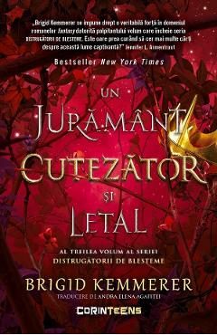 eBook Un juramant cutezator si letal. Seria Distrugatorii de blesteme Vol.3 - Brigid Kemmerer