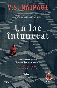 eBook Un loc intunecat - V.S. Naipaul