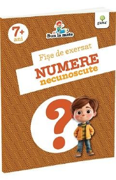 Fise de exersat. Numere necunoscute. Bun la mate 7 ani+