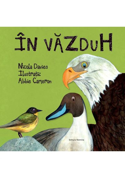 In vazduh