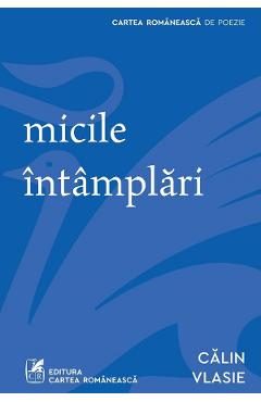 Micile intamplari - Calin Vlasie
