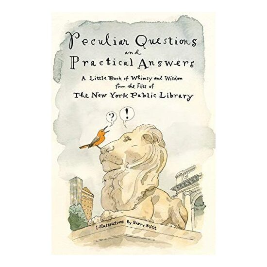 Peculiar Questions and Practical Answers