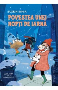 Povestea unei nopti de iarna - Florin Irimia