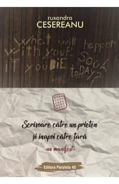 Scrisoare catre un prieten si inapoi catre tara - Ruxandra Cesereanu