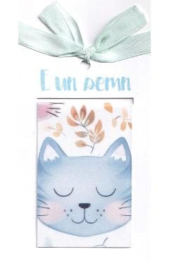 Semn de carte magnetic: Pisici. Model 4