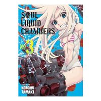 Soul Liquid Chambers Vol. 3