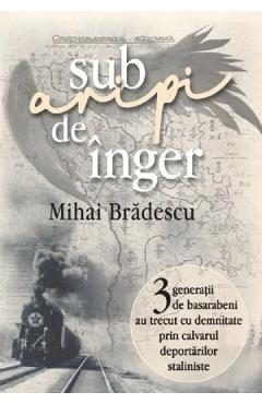 Sub aripi de inger - Mihai Bradescu
