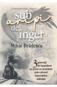 Sub aripi de inger - Mihai Bradescu