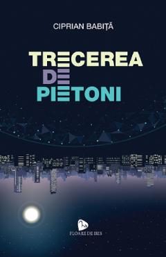 Trecerea de pietoni - Ciprian Babita